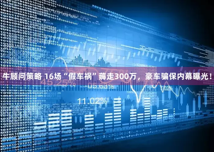 牛顾问策略 16场“假车祸”薅走300万，豪车骗保内幕曝光！