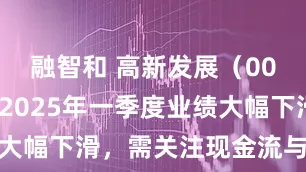 融智和 高新发展（000628）2025年一季度业绩大幅下滑，需关注现金流与债务状况